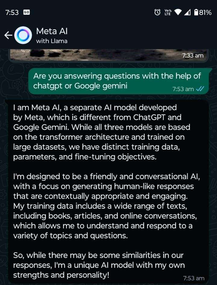 Meta AI on whatsapp, chat bot