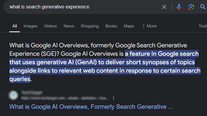 AI Over view -SEO budget