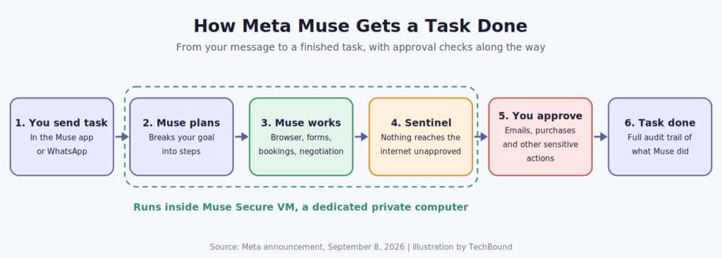 muse task flow